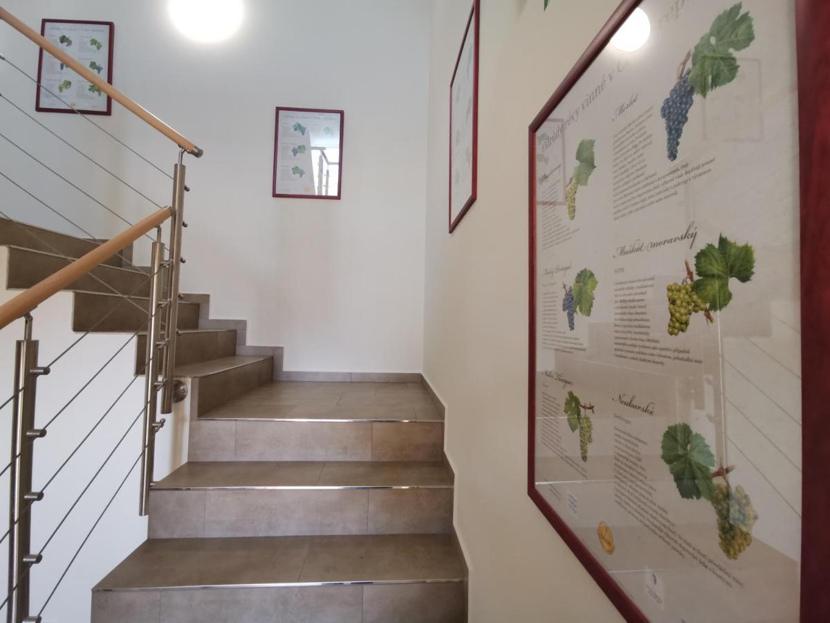 Comenius Moravus Vinarsky Dvur Микулов Экстерьер фото